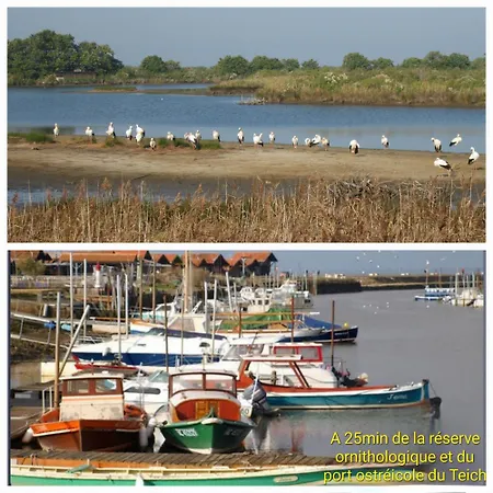 Maison Au Coeur Du Bassin D'arcachon Prázdninový dům *