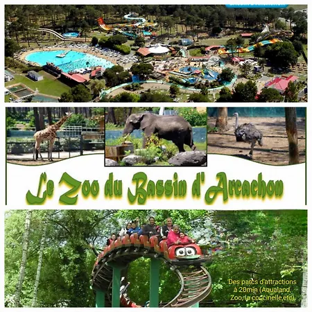 Maison Au Coeur Du Bassin D'arcachon Arcachon