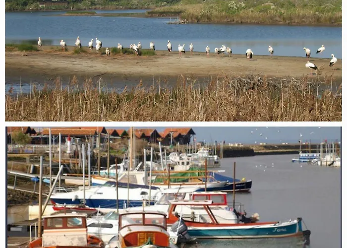 Maison Au Coeur Du Bassin D'arcachon Prázdninový dům *