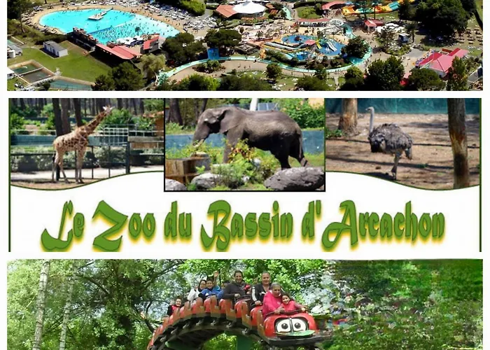 Maison Au Coeur Du Bassin D'arcachon Arcachon